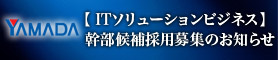 IT�\�����[�V�����r�W�l�X�������̗p��W