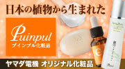 Puinpul - ���ϕi