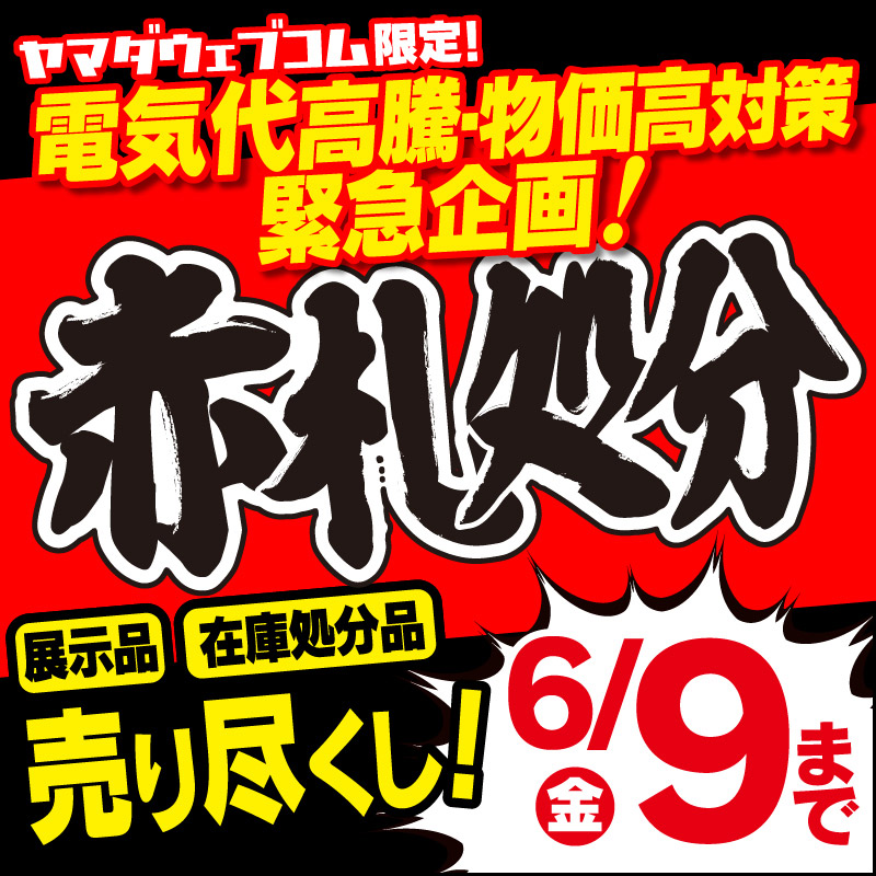WEB限定！厳選大特価