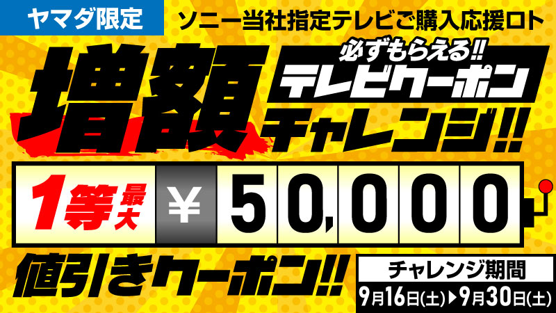 ソニー対象テレビご購入応援ロト！