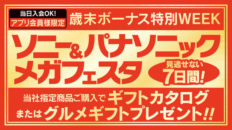 ソニーパナソニックフェスタ