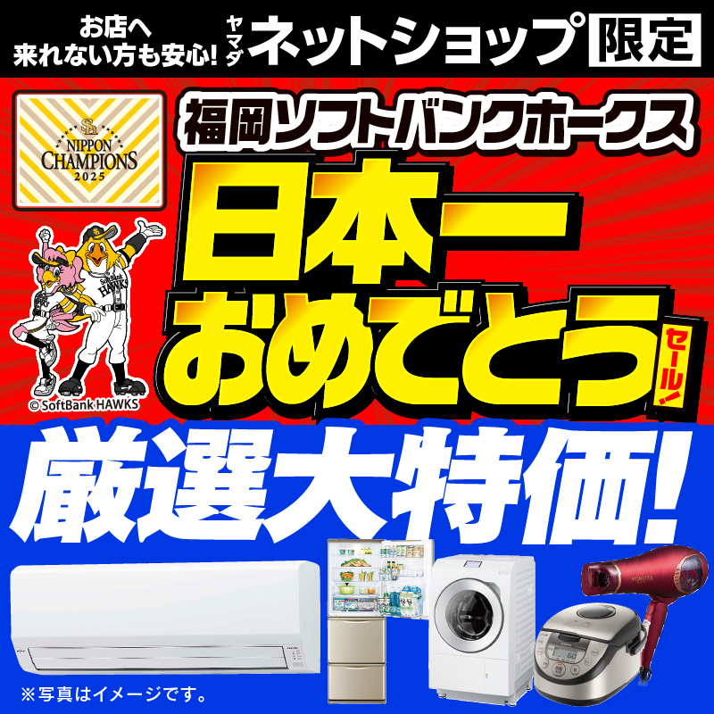 WEB限定！厳選大特価