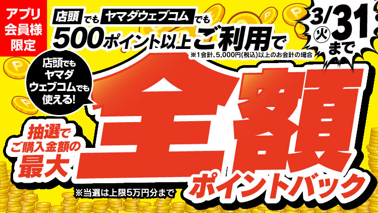 本決算全額ポイントバック