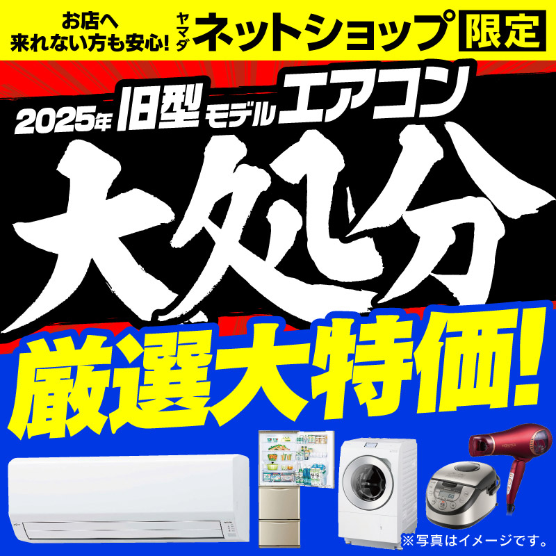 WEB限定！厳選大特価