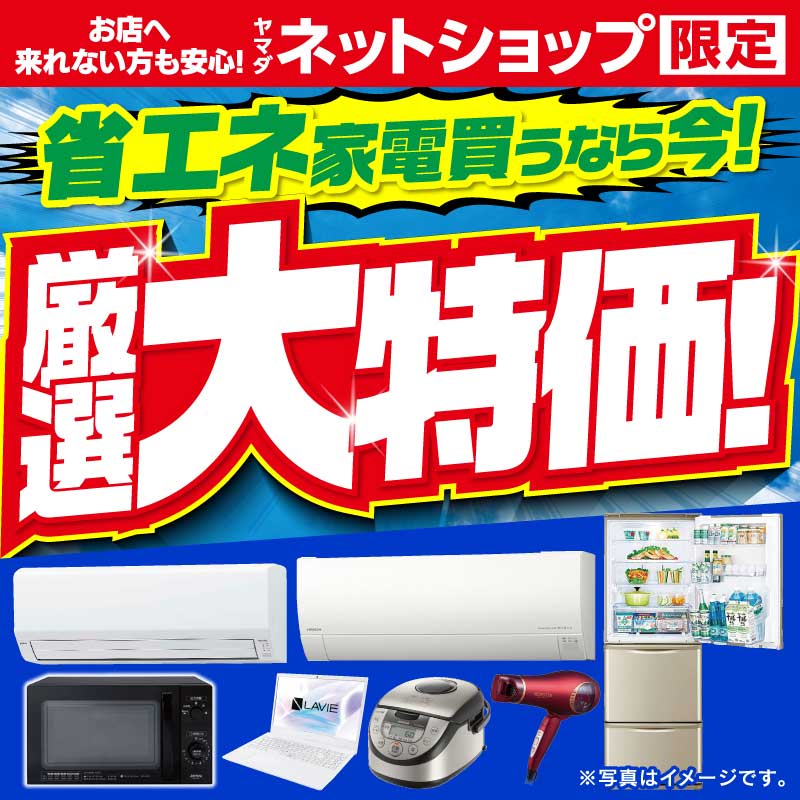 WEB限定！厳選大特価