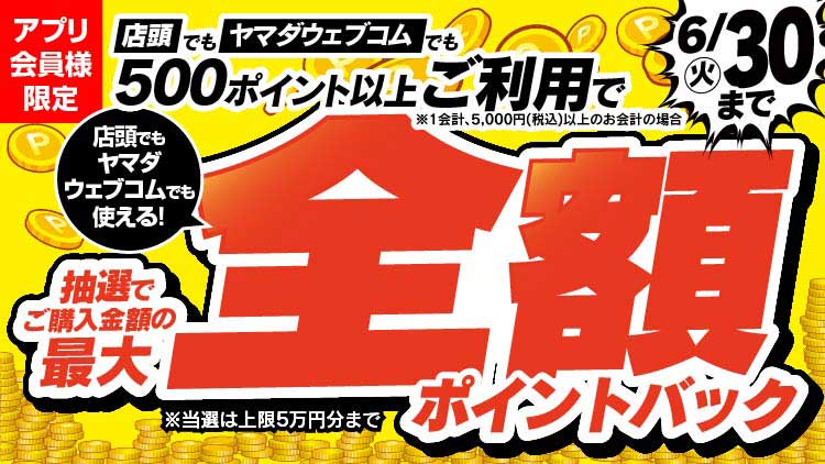 全額ポイントバック