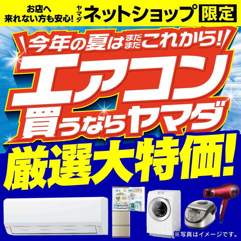 WEB限定！厳選大特価