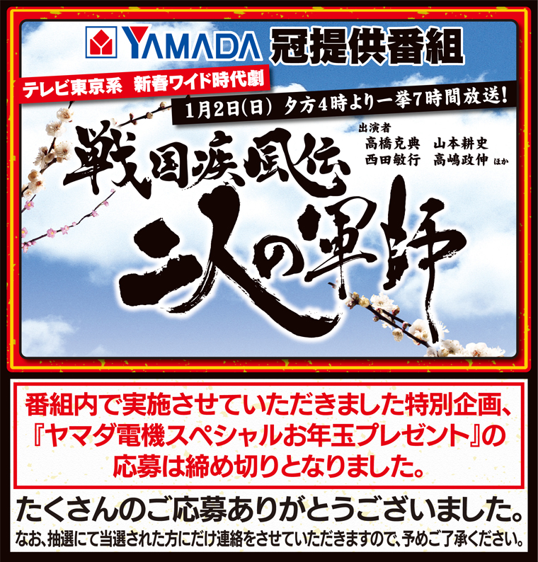 戦国疾風伝