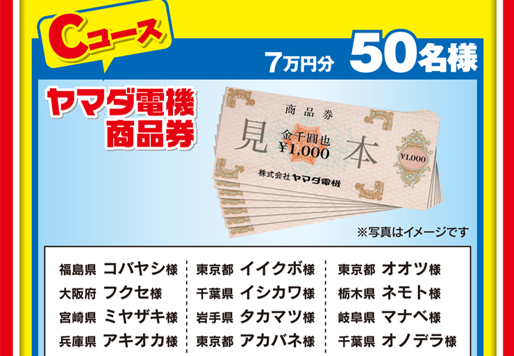 ヤマダデンキ Yamada Denki Co Ltd ヤマダデンキ Yamada Denki Co Ltd