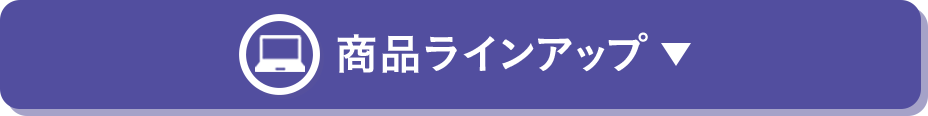 商品ラインアップ