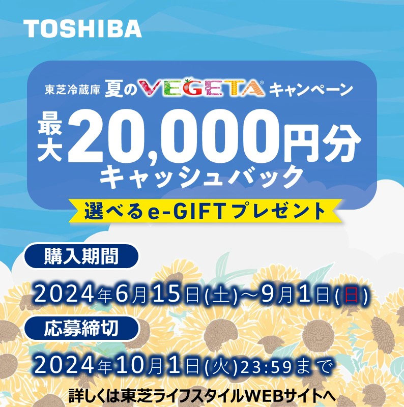 2日以内発送】ヤマダ電機 株主優待券 2万円分 2024年6 