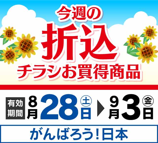 折込チラシ ヤマダデンキ Yamada Denki Co Ltd