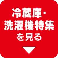 折込チラシ ヤマダデンキ Yamada Denki Co Ltd