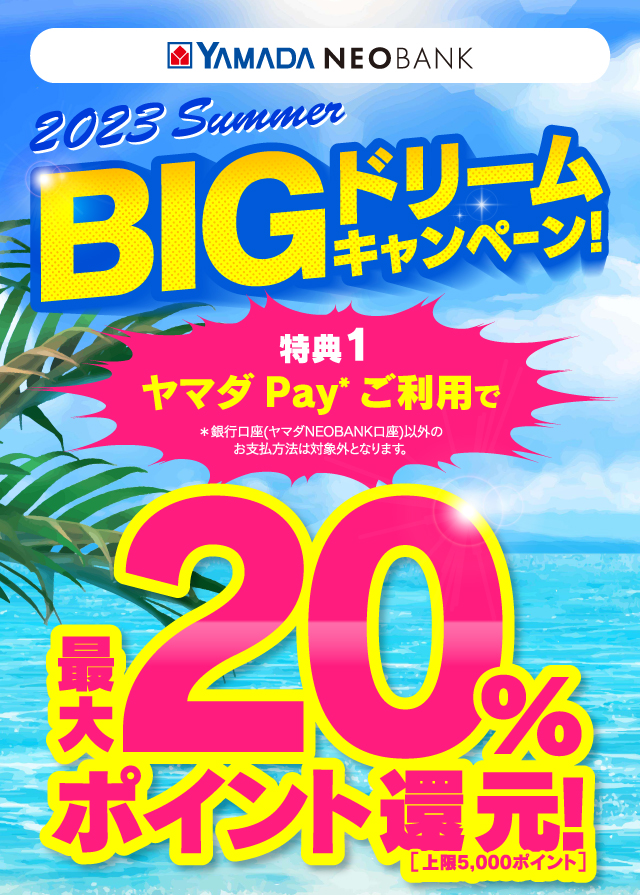 2023 Summer BIGドリームキャンペーン！