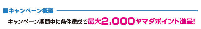 キャンペーン期間中に条件達成で最大2,000ヤマダポイント進呈！