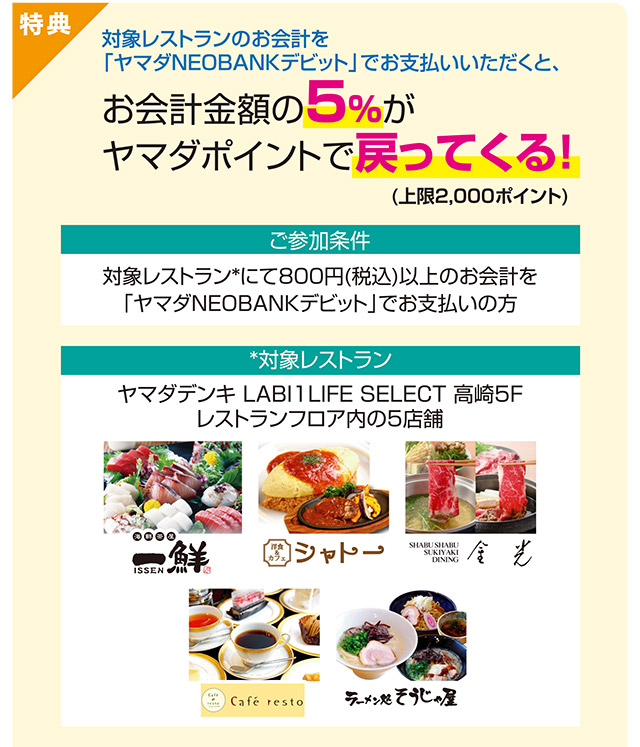 キャンペーン期間中に条件達成で最大2,000ヤマダポイント進呈！