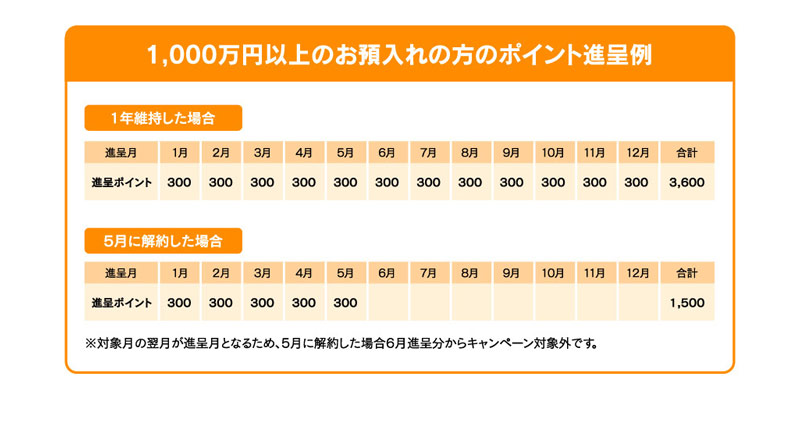 毎月維持で年間最大3,600ポイントが貯まる！