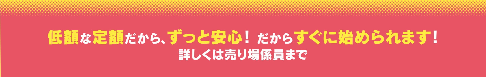 低額な定額だから、ずっと安心! だからすぐに始められます!