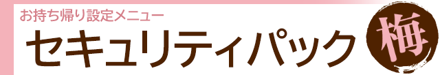 セキュリティパック「梅」