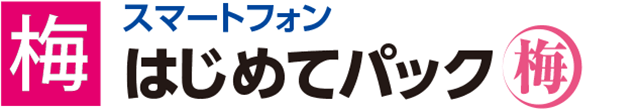 はじめてパック「梅」