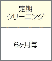 定期クリーニング6ヶ月毎